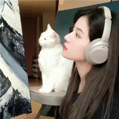 命运速递