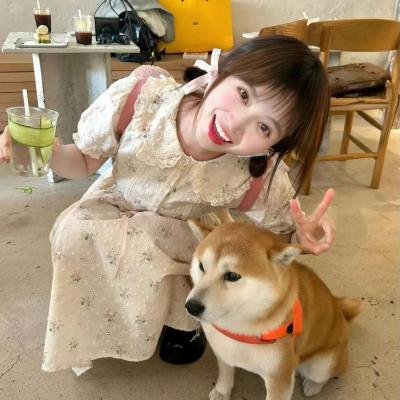 潜伏娇娃
